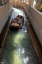 Bugs' White Water Rapids