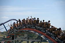 Iron Rattler