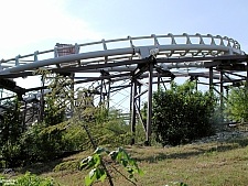 Road Runner Express
