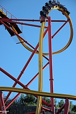 Wonder Woman Golden Lasso Coaster