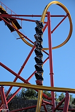 Wonder Woman Golden Lasso Coaster