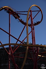 Wonder Woman Golden Lasso Coaster
