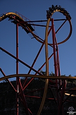 Wonder Woman Golden Lasso Coaster