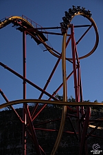 Wonder Woman Golden Lasso Coaster