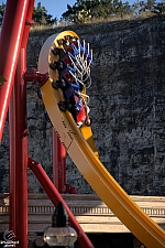 Wonder Woman Golden Lasso Coaster