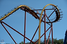 Wonder Woman Golden Lasso Coaster