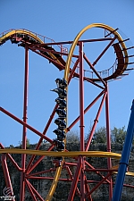Wonder Woman Golden Lasso Coaster
