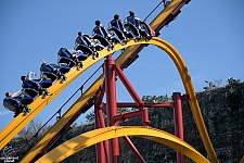 Wonder Woman Golden Lasso Coaster