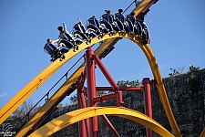 Wonder Woman Golden Lasso Coaster