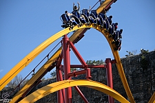 Wonder Woman Golden Lasso Coaster