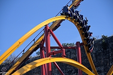 Wonder Woman Golden Lasso Coaster