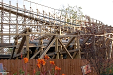 El Toro