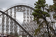 El Toro