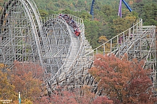 El Toro