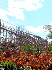 El Toro