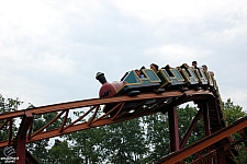 Harley Quinn Crazy Train