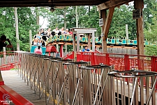 Harley Quinn Crazy Train