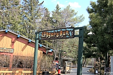 Logger's Run