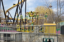 Jester's Wild Ride