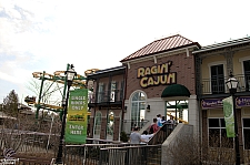 Ragin' Cajun