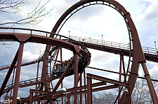Iron Wolf