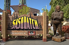 Sasquatch