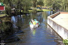 Swan Boats