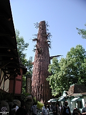 Six Flags Magic Mountain