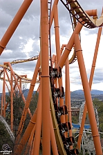 Tatsu