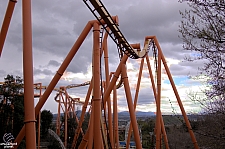 Tatsu