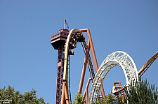 Tatsu