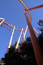 Tatsu