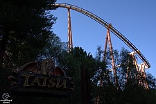 Tatsu