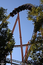 Tatsu