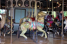 1909 Illions Carousel