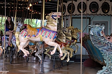 1909 Illions Carousel