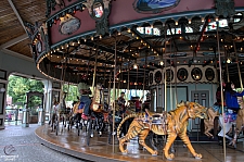 1909 Illions Carousel