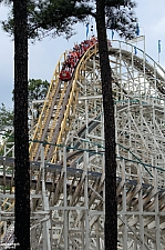 Georgia Cyclone