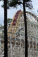 Georgia Cyclone