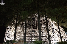 Georgia Cyclone