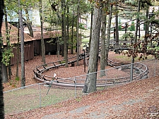 Dahlonega Mine Train