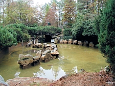 Thunder River