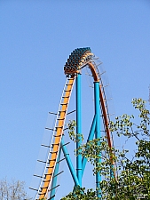 Goliath