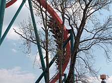 Goliath