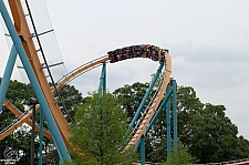 Goliath