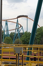 Goliath