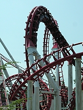 Blue Hawk