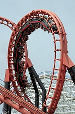 Blue Hawk