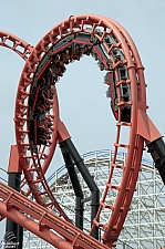 Blue Hawk
