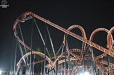 Blue Hawk